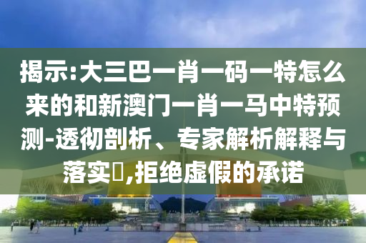 揭示:大三巴一肖一碼一特怎么來的和新澳門一肖一馬中特預測-透徹剖析、專家解析解釋與落實?,拒絕虛假的承諾