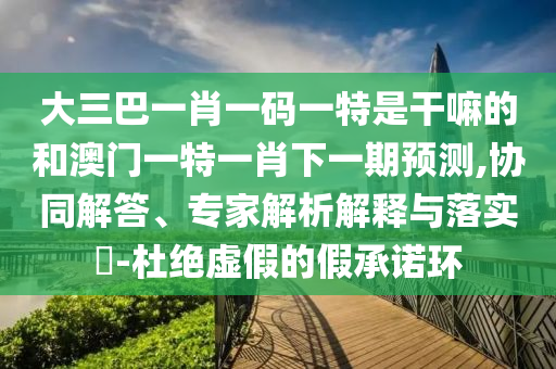 大三巴一肖一碼一特是干嘛的和澳門一特一肖下一期預測,協同解答、專家解析解釋與落實?-杜絕虛假的假承諾環