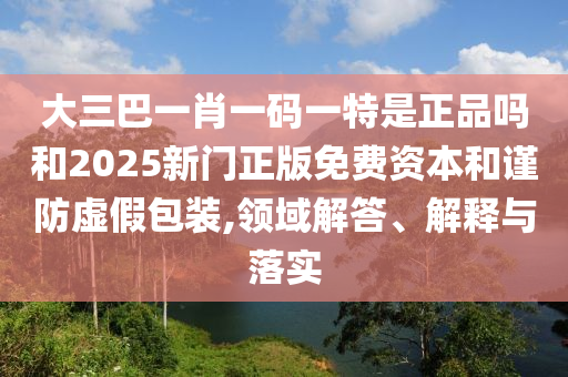 大三巴一肖一碼一特是正品嗎和2025新門正版免費資本和謹防虛假包裝,領域解答、解釋與落實