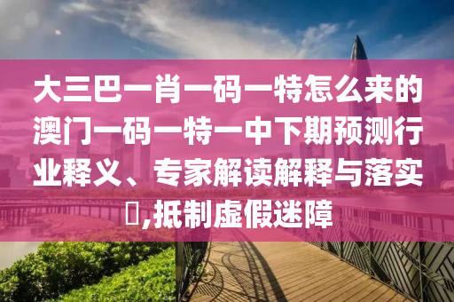 大三巴一肖一碼一特怎么來的澳門一碼一特一中下期預(yù)測行業(yè)釋義、專家解讀解釋與落實?,抵制虛假迷障