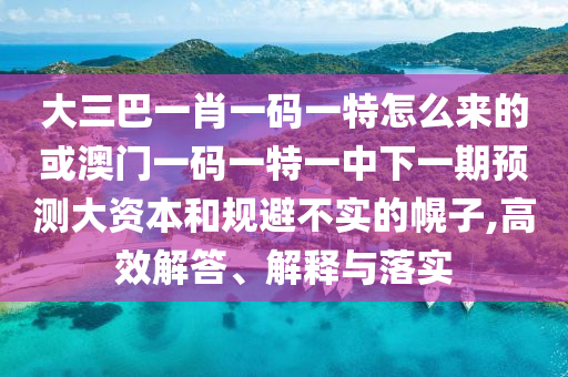 大三巴一肖一碼一特怎么來的或澳門一碼一特一中下一期預測大資本和規避不實的幌子,高效解答、解釋與落實