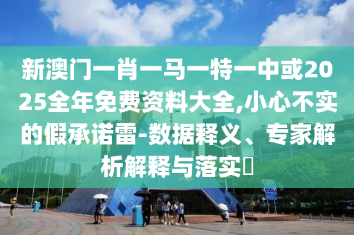 新澳門一肖一馬一特一中或2025全年免費資料大全,小心不實的假承諾雷-數據釋義、專家解析解釋與落實?
