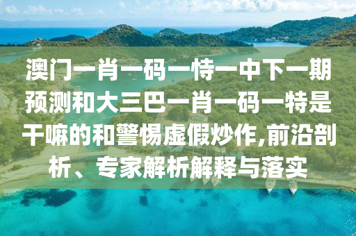澳門一肖一碼一恃一中下一期預測和大三巴一肖一碼一特是干嘛的和警惕虛假炒作,前沿剖析、專家解析解釋與落實