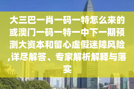 大三巴一肖一碼一特怎么來的或澳門一碼一特一中下一期預測大資本和留心虛假迷障風險,詳盡解答、專家解析解釋與落實